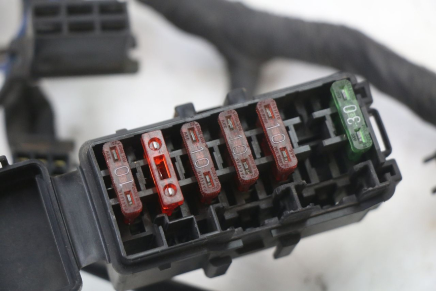 photo de FAISCEAU HONDA CBR F 1000 (1993 - 1996)