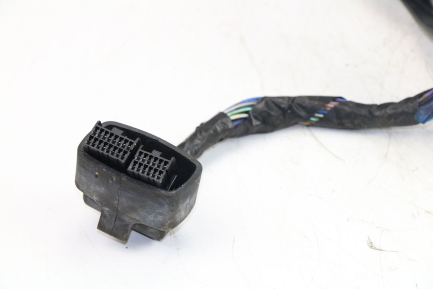 photo de FAISCEAU HONDA FJS SILVER WING SILVERWING 400 (2005 - 2008)