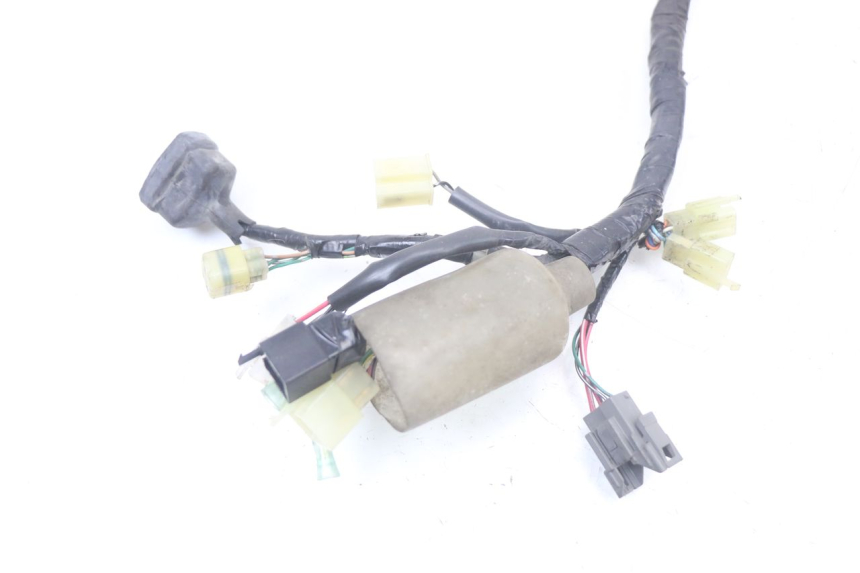 photo de FAISCEAU HONDA PCX (JF28) 125 (2009 - 2011)