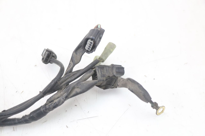 photo de FAISCEAU HONDA PCX (JF28) 125 (2009 - 2011)