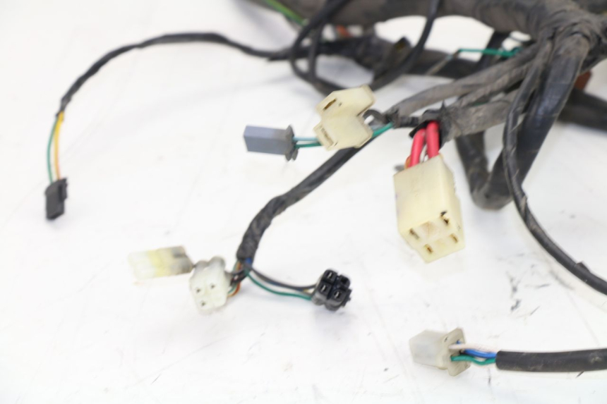 photo de FAISCEAU HONDA SCV LEAD 100 (2003 - 2007)