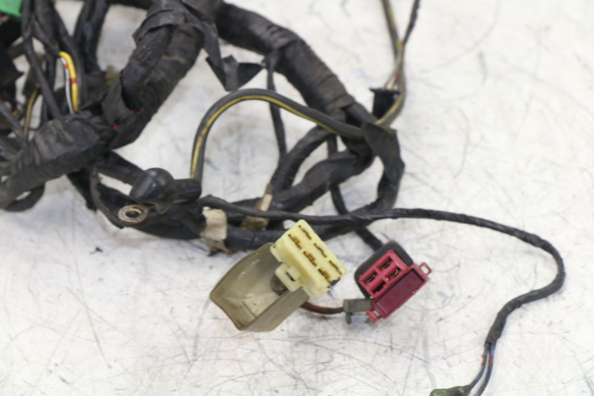 photo de FAISCEAU KAWASAKI ZZR 600 (1995 - 2004) - Autre angle de vue