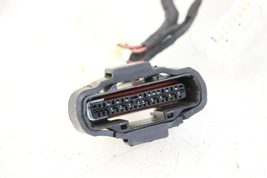 photo de FAISCEAU KIDEN KD125-G 125 (2018 - 2022)