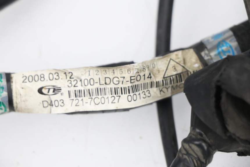 photo de FAISCEAU KYMCO XCITING 500 (2007 - 2010)