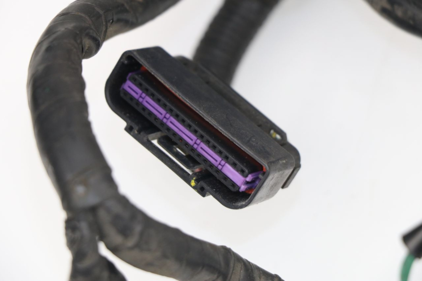 photo de FAISCEAU KYMCO XCITING 500 (2007 - 2010)