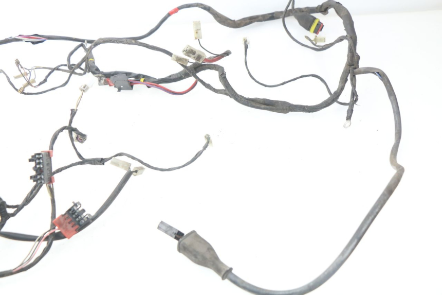 photo de FAISCEAU PIAGGIO LIBERTY 4T 50 (2004 - 2008)
