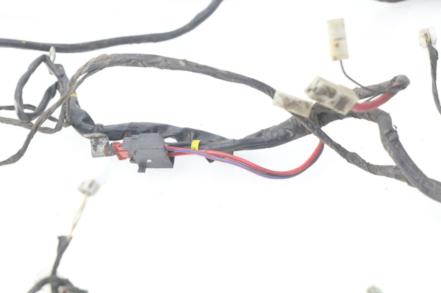 photo de FAISCEAU PIAGGIO LIBERTY 4T 50 (2004 - 2008)