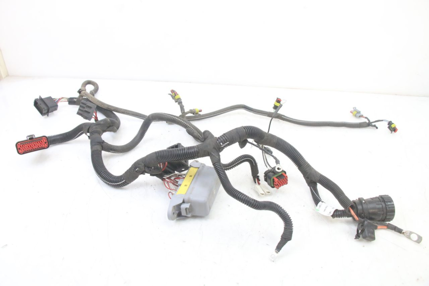 photo de FAISCEAU LIGIER PULSE 3 1 (2014 - 2020)