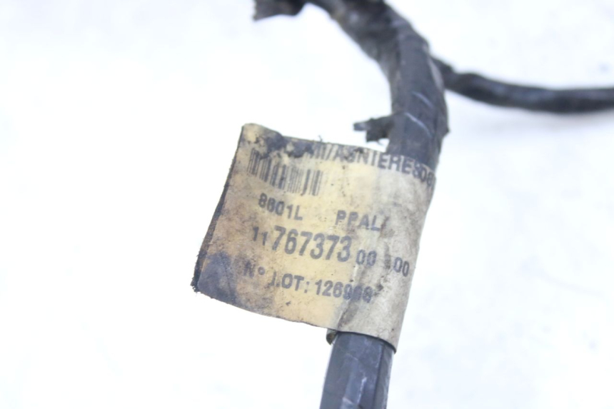 photo de FAISCEAU PEUGEOT LUDIX 50 (2008 - 2017)