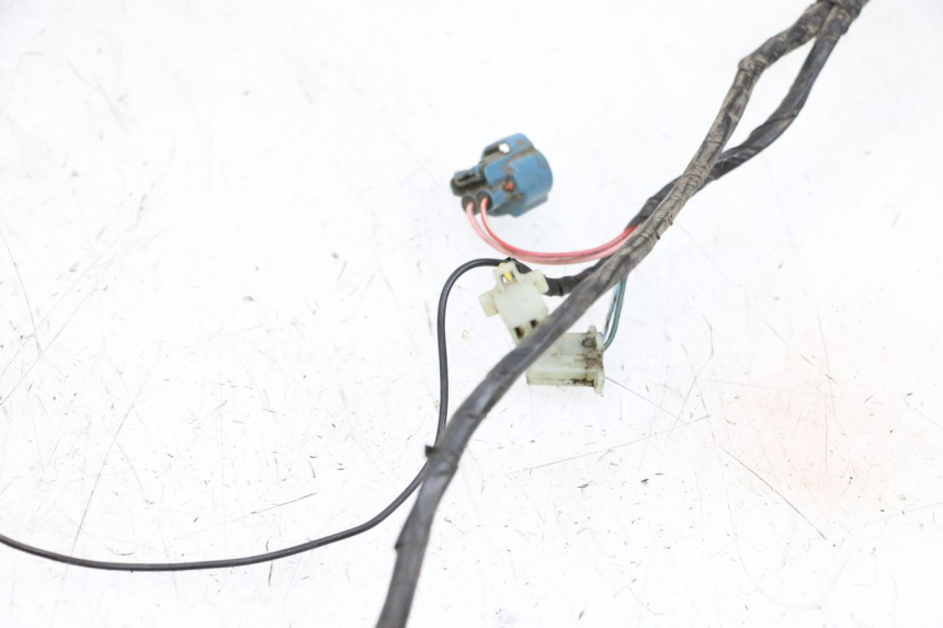 photo de FAISCEAU PEUGEOT LUDIX 50 (2005 - 2007) - Détails caractéristiques