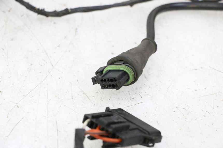 photo de FAISCEAU PIAGGIO LXV 4T 50 (2009 - 2013)