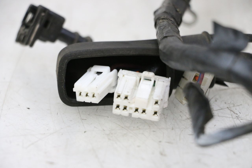 photo de FAISCEAU PIAGGIO LXV 4T 50 (2009 - 2013)