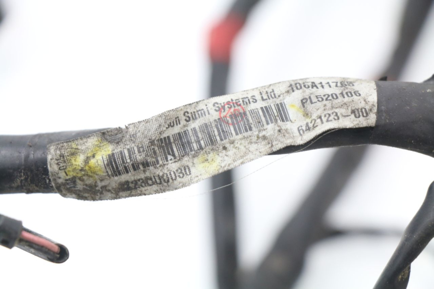 photo de FAISCEAU PIAGGIO MP3 LT 400 (2007 - 2012)