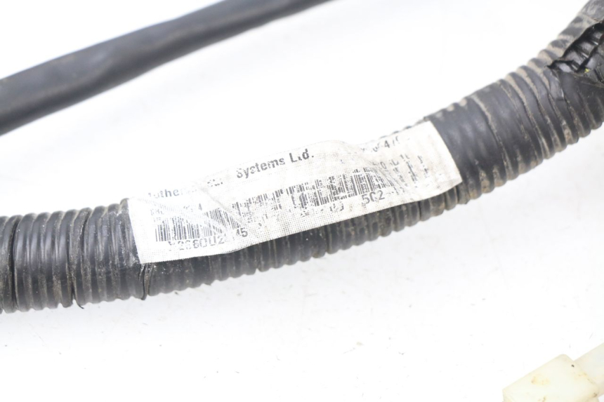 photo de FAISCEAU YAMAHA NEO'S NEOS 2T 50 (2007 - 2017)