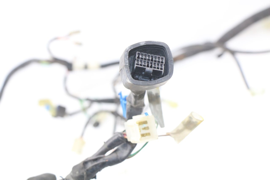 photo de FAISCEAU YAMAHA NEOS NEO'S 4T 50 (2008 - 2016)