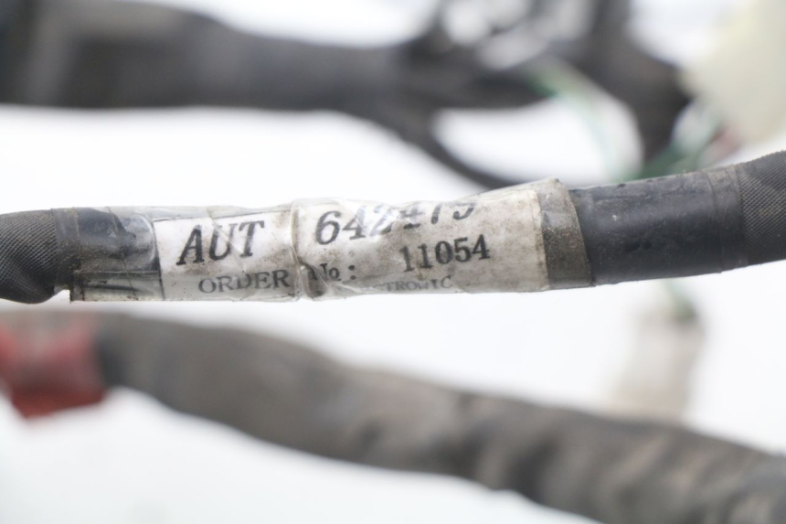 photo de FAISCEAU PIAGGIO NEW TYPHOON 50 (2010 - 2017)