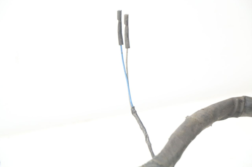 photo de FAISCEAU PIAGGIO NEW TYPHOON 50 (2010 - 2017)