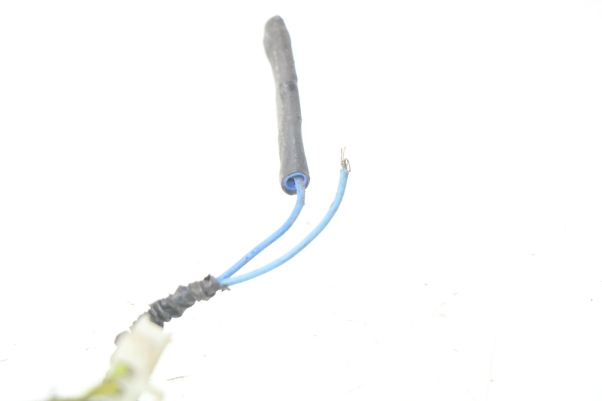 photo de FAISCEAU PIAGGIO NEW TYPHOON 50 (2010 - 2017)