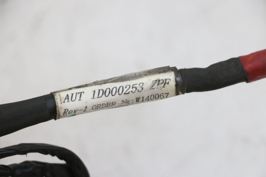 photo de FAISCEAU PIAGGIO NEW TYPHOON 50 (2010 - 2017)