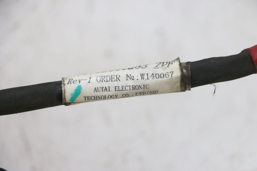 photo de FAISCEAU PIAGGIO NEW TYPHOON 50 (2010 - 2017)