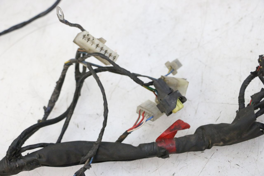 photo de FAISCEAU PIAGGIO NEW TYPHOON 50 (2010 - 2017)