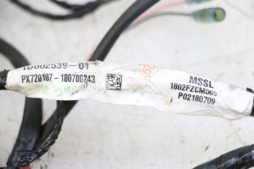 photo de FAISCEAU PIAGGIO NRG POWER PUREJET 50 (2018 - 2021)