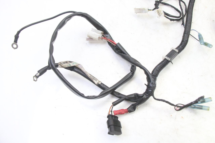 photo de FAISCEAU PIAGGIO NRG POWER PUREJET 50 (2018 - 2021)