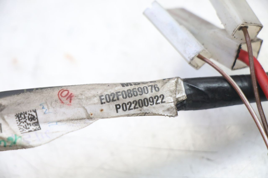 photo de FAISCEAU PIAGGIO NRG POWER PUREJET 50 (2018 - 2021)