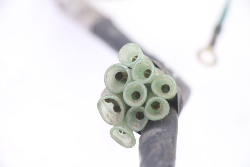 photo de FAISCEAU HONDA NTV DEAUVILLE 650 (2001 - 2006)