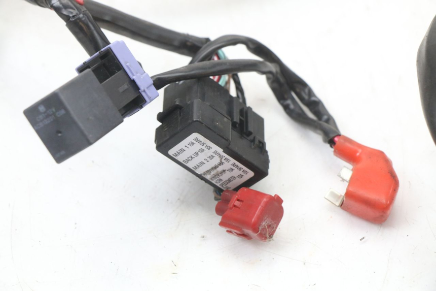 photo de FAISCEAU HONDA PCX (JF28) 125 (2009 - 2011)