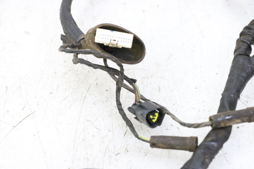 photo de FAISCEAU PEUGEOT SPEEDFIGHT 3 LC 2T 50 (2009 - 2015)