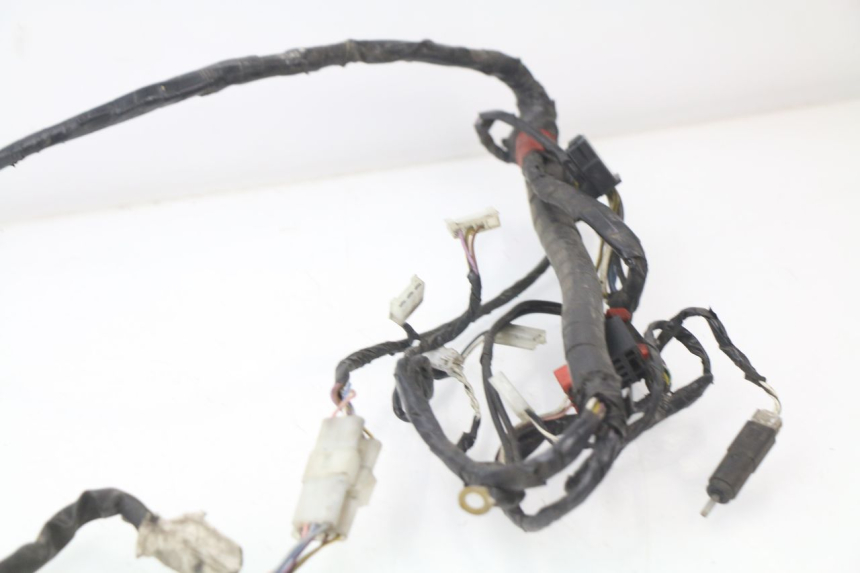 photo de FAISCEAU PIAGGIO LIBERTY 2T 50 (2004 - 2008) - Marquages et références