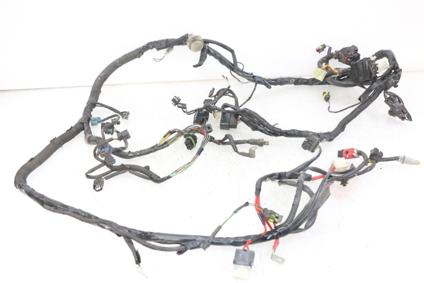photo de FAISCEAU PIAGGIO LIBERTY IGET 4T 50 (2021 - 2025)