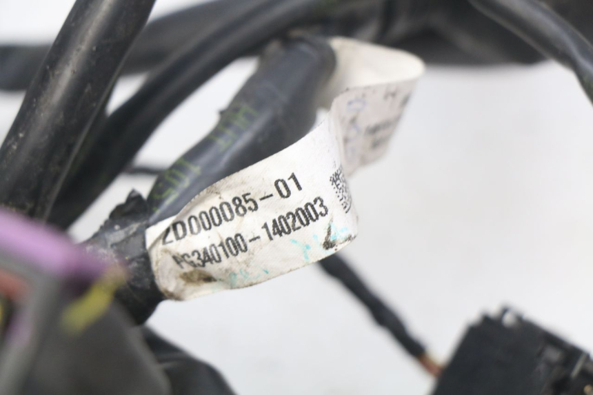 photo de FAISCEAU PIAGGIO MP3 500 (2014 - 2016)