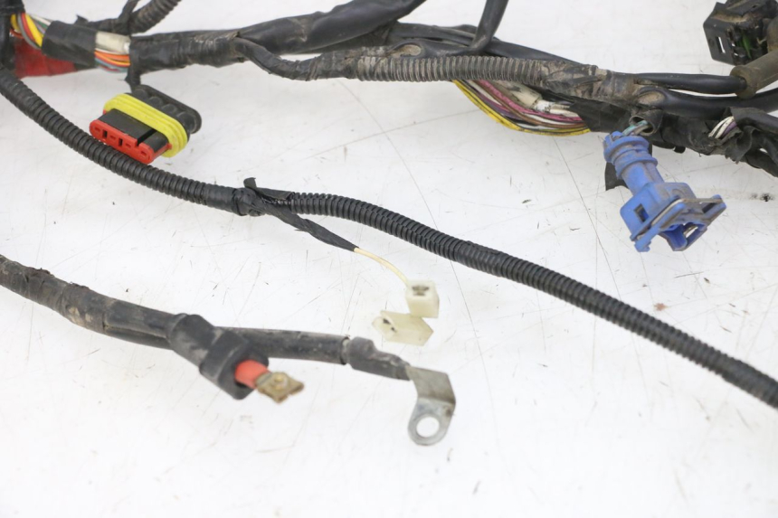 photo de FAISCEAU PIAGGIO ZIP 4T 50 (2018 - 2020)