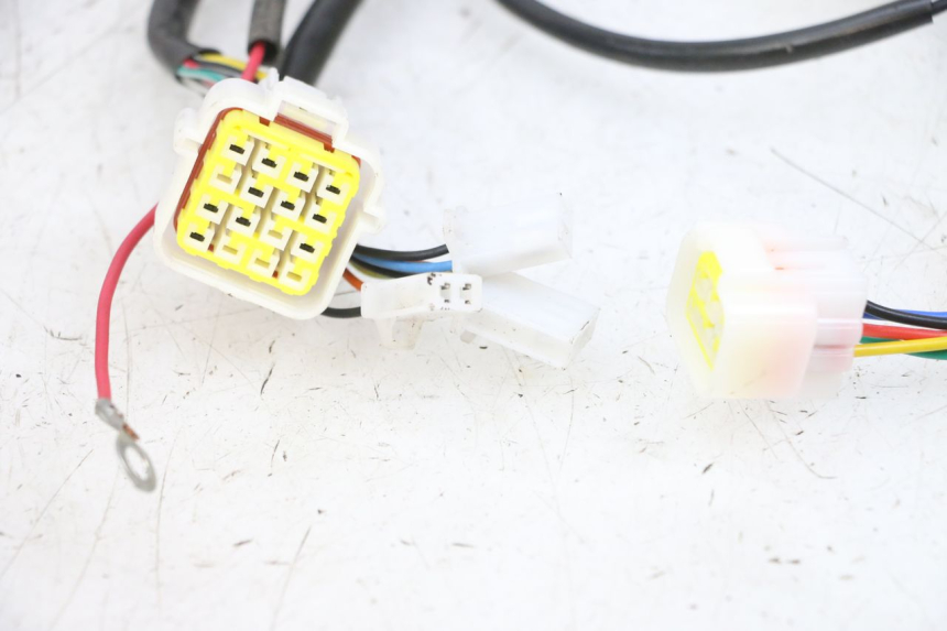 photo de FAISCEAU EFUN PUSA 1 - Détails caractéristiques