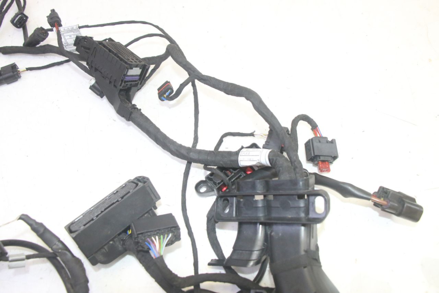 photo de FAISCEAU BMW R GS 1250 (2021 - 2024) - Zoom état d’usage