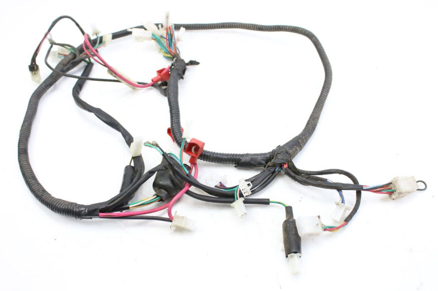 photo de FAISCEAU TNT MOTOR ROMA 10' 2T 50 (2011 - 2018)