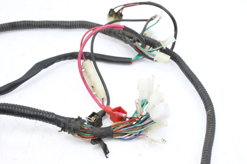 photo de FAISCEAU TNT MOTOR ROMA 10' 2T 50 (2011 - 2018)