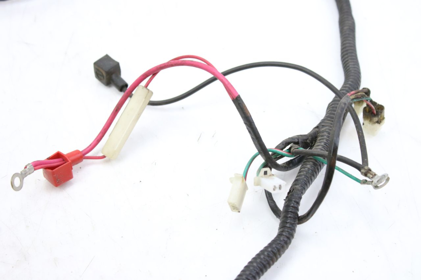 photo de FAISCEAU TNT MOTOR ROMA 10' 2T 50 (2011 - 2018)