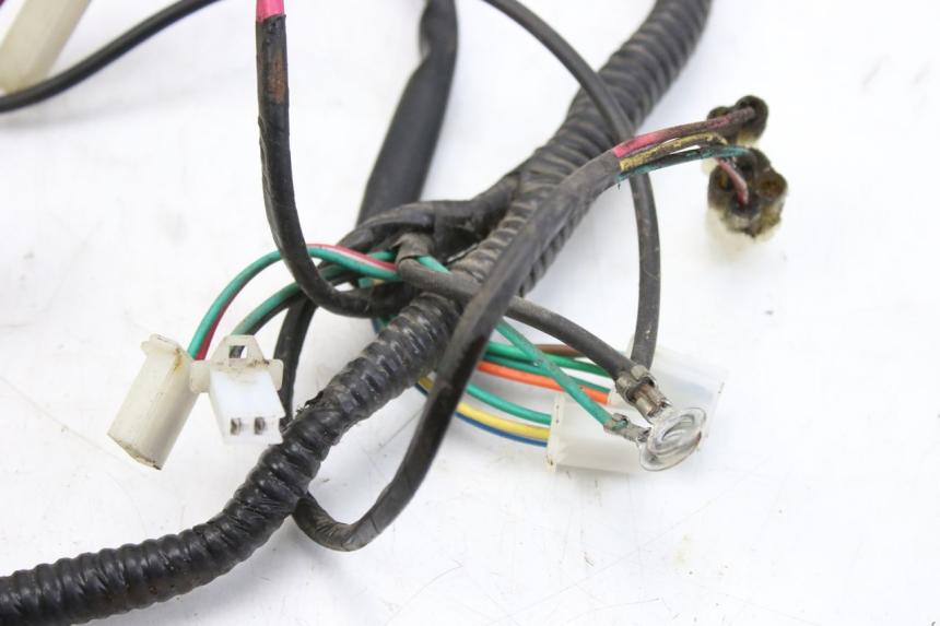 photo de FAISCEAU TNT MOTOR ROMA 10' 2T 50 (2011 - 2018)