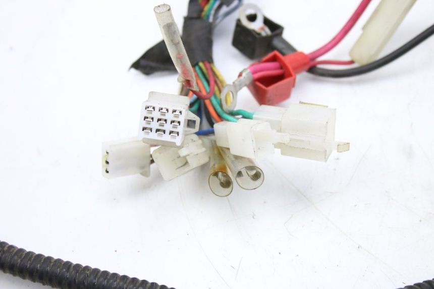 photo de FAISCEAU TNT MOTOR ROMA 10' 2T 50 (2011 - 2018)