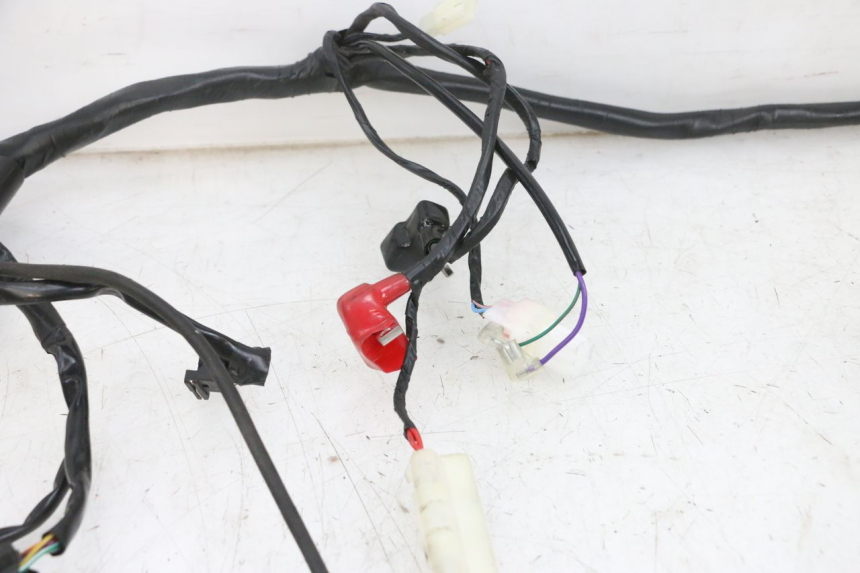 photo de FAISCEAU JM MOTORS SANTANA EVO 50 (2024 - 2026) - Zoom composants