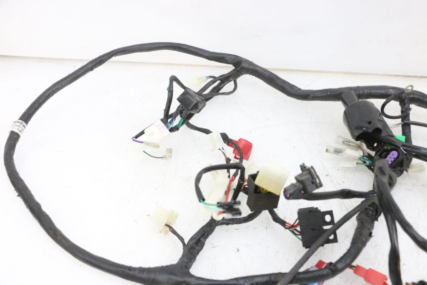 photo de FAISCEAU JM MOTORS SANTANA EVO 50 (2024 - 2026) - Gros plan technique