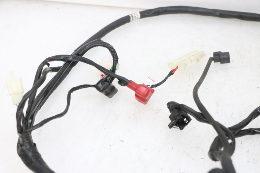 photo de FAISCEAU JM MOTORS SANTANA EVO 50 (2024 - 2026) - Pièce contrôlée