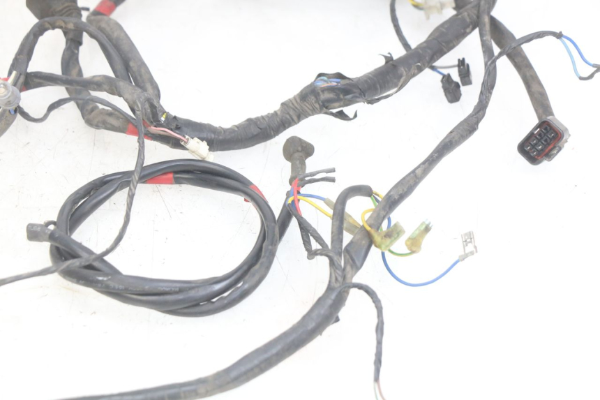 photo de FAISCEAU APRILIA SCARABEO LIGHT 125 (2007 - 2011)