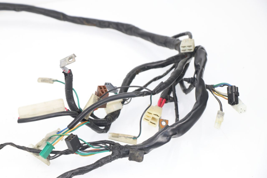 photo de FAISCEAU HONDA SCV LEAD 100 (2003 - 2007)