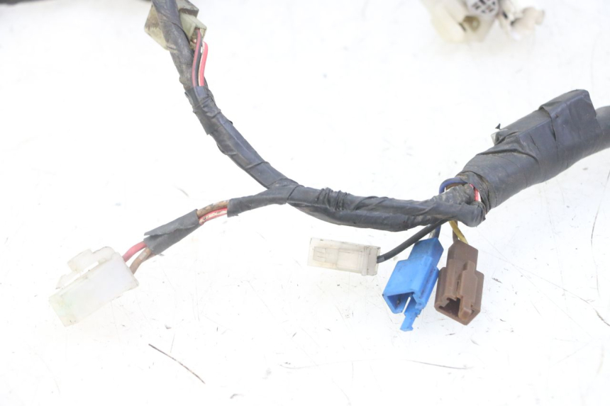 photo de FAISCEAU YAMAHA TDR DELTABOX 125 (1993 - 2003)