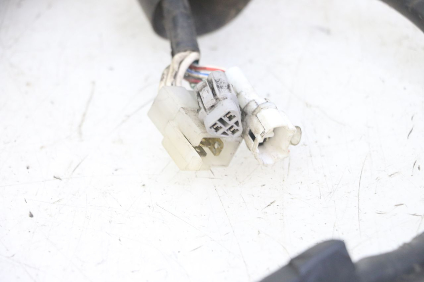 photo de FAISCEAU YAMAHA TDR DELTABOX 125 (1993 - 2003)