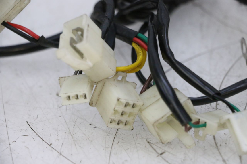 photo de FAISCEAU NECO TEMPO 4T 50 (2022 - 2026) - Vue produit